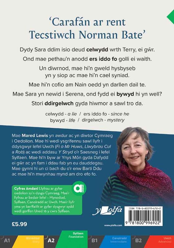 Dail Te - Mared Lewis (Sylfaen)