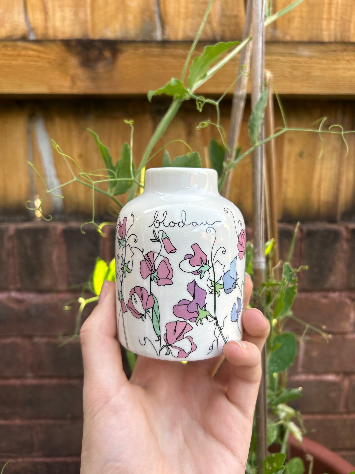 Blodau Sweet Pea Bud Vase