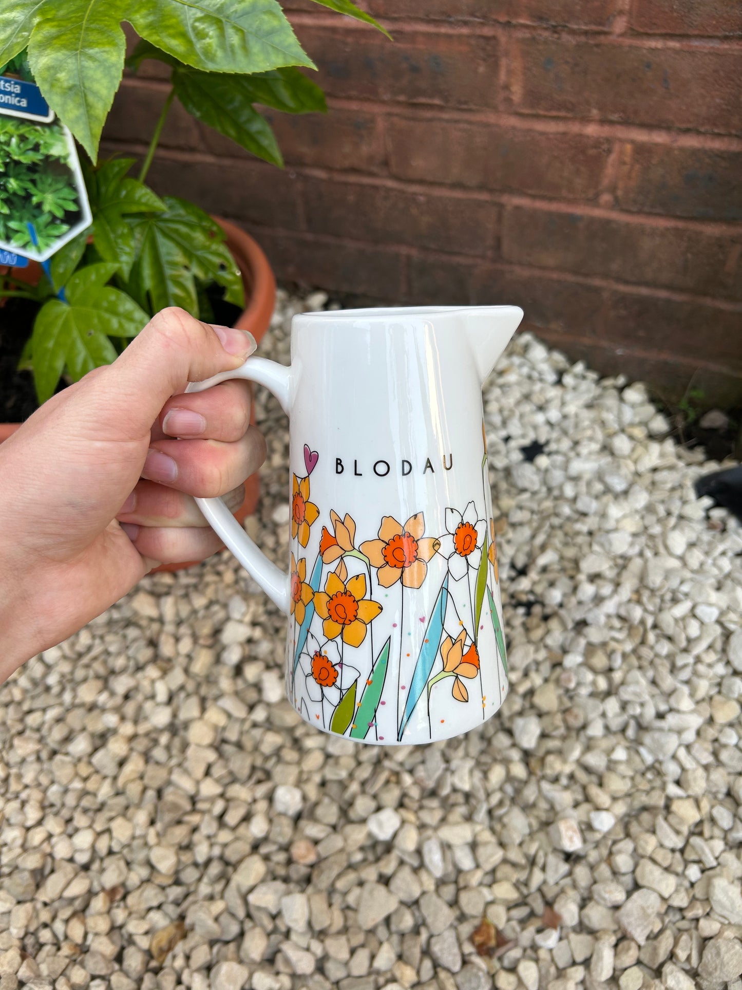 Blodau Daffodils Jug