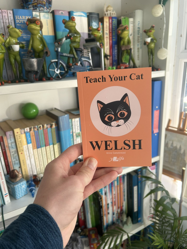 Teach Your Cat Welsh - Anne Cakebread