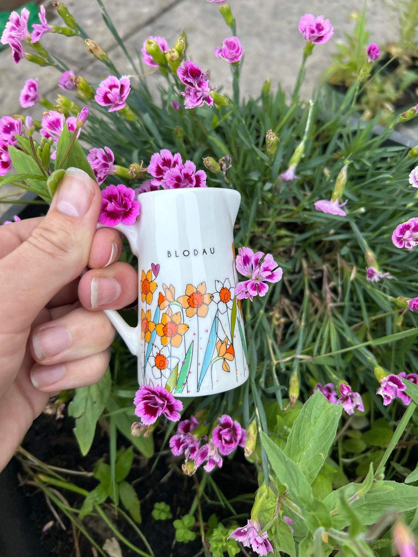 Mini Blodau Daffodils Jug Bud Vase
