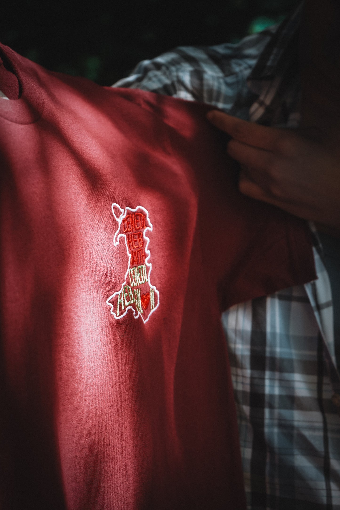 Cenedl Heb Iaith, Cenedl Heb Galon Unisex classic tee