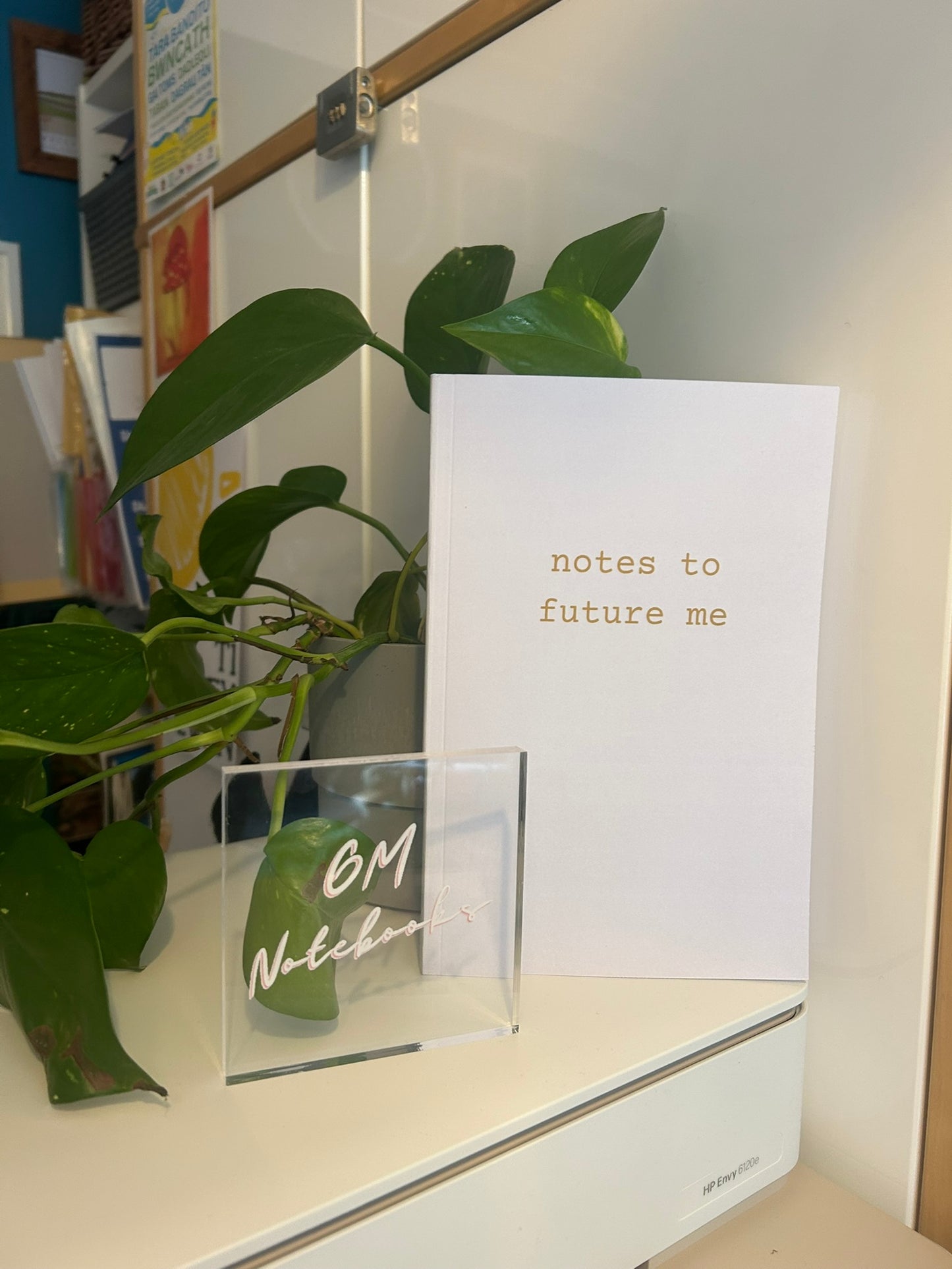 Notes to Future Me - 120 Paged Lined and Numbered Notebook