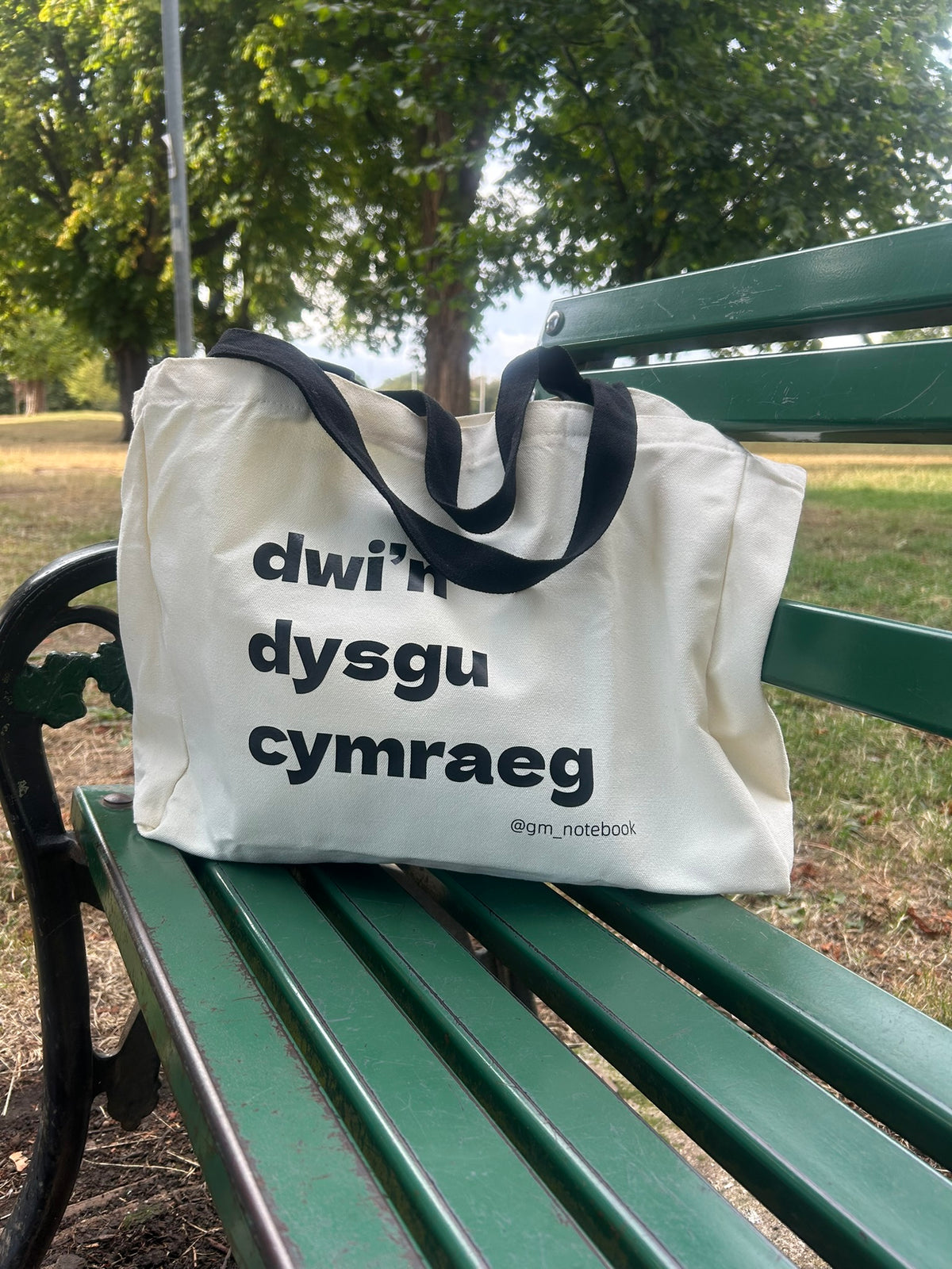 Bag Mawr Dwi’n Dysgu Cymraeg