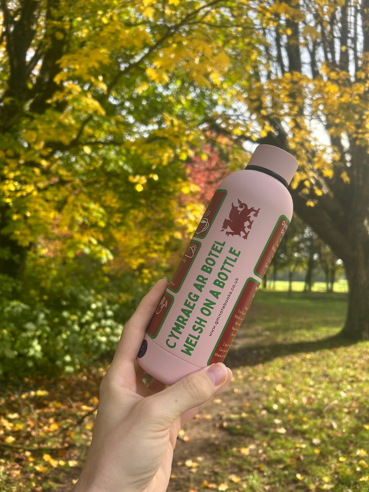 Cymraeg ar Botel - Double Walled Insulated BPA Free Welsh Water Bottle