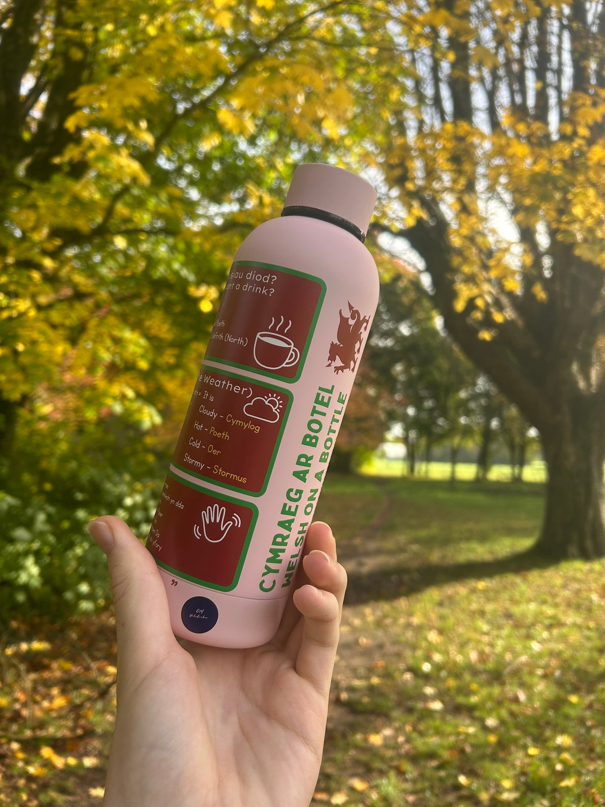 Cymraeg ar Botel - Double Walled Insulated BPA Free Welsh Water Bottle