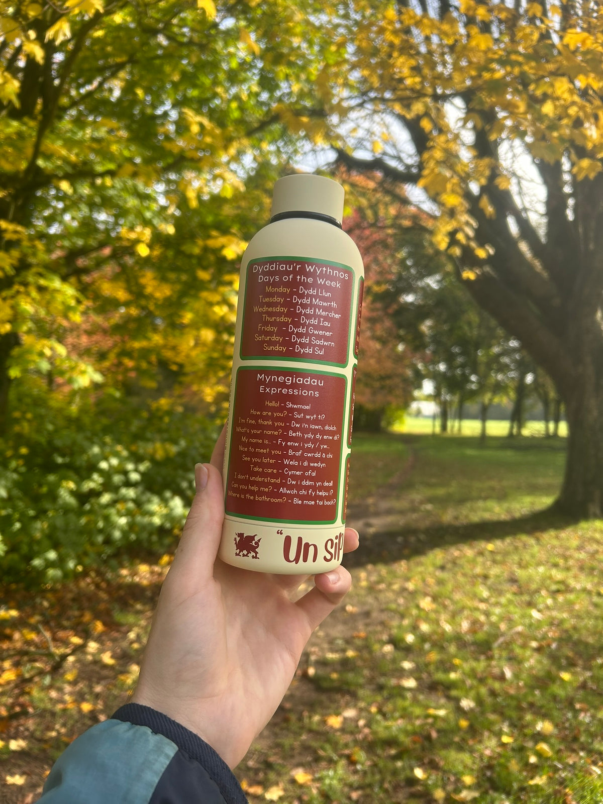 Cymraeg ar Botel - Double Walled Insulated BPA Free Welsh Water Bottle