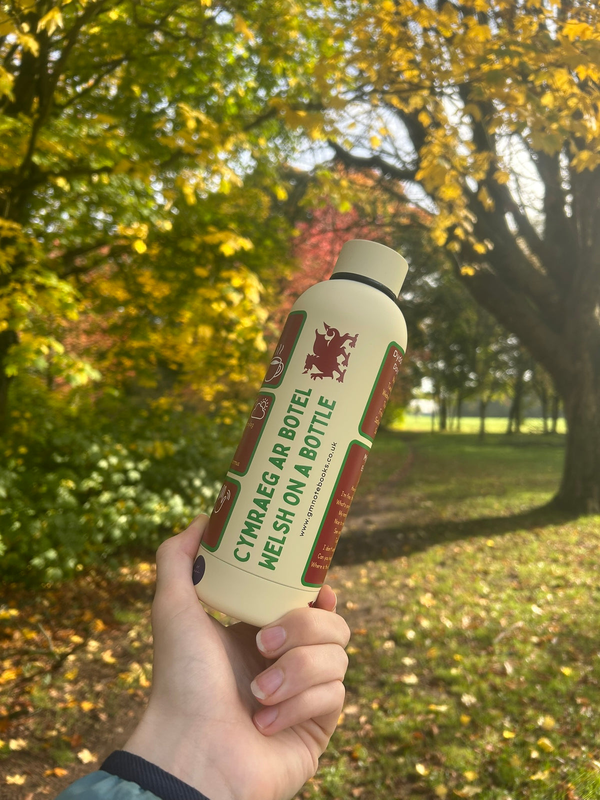 Cymraeg ar Botel - Double Walled Insulated BPA Free Welsh Water Bottle