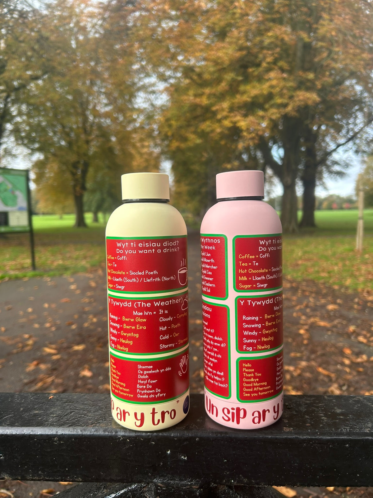 Cymraeg ar Botel - Double Walled Insulated BPA Free Welsh Water Bottle