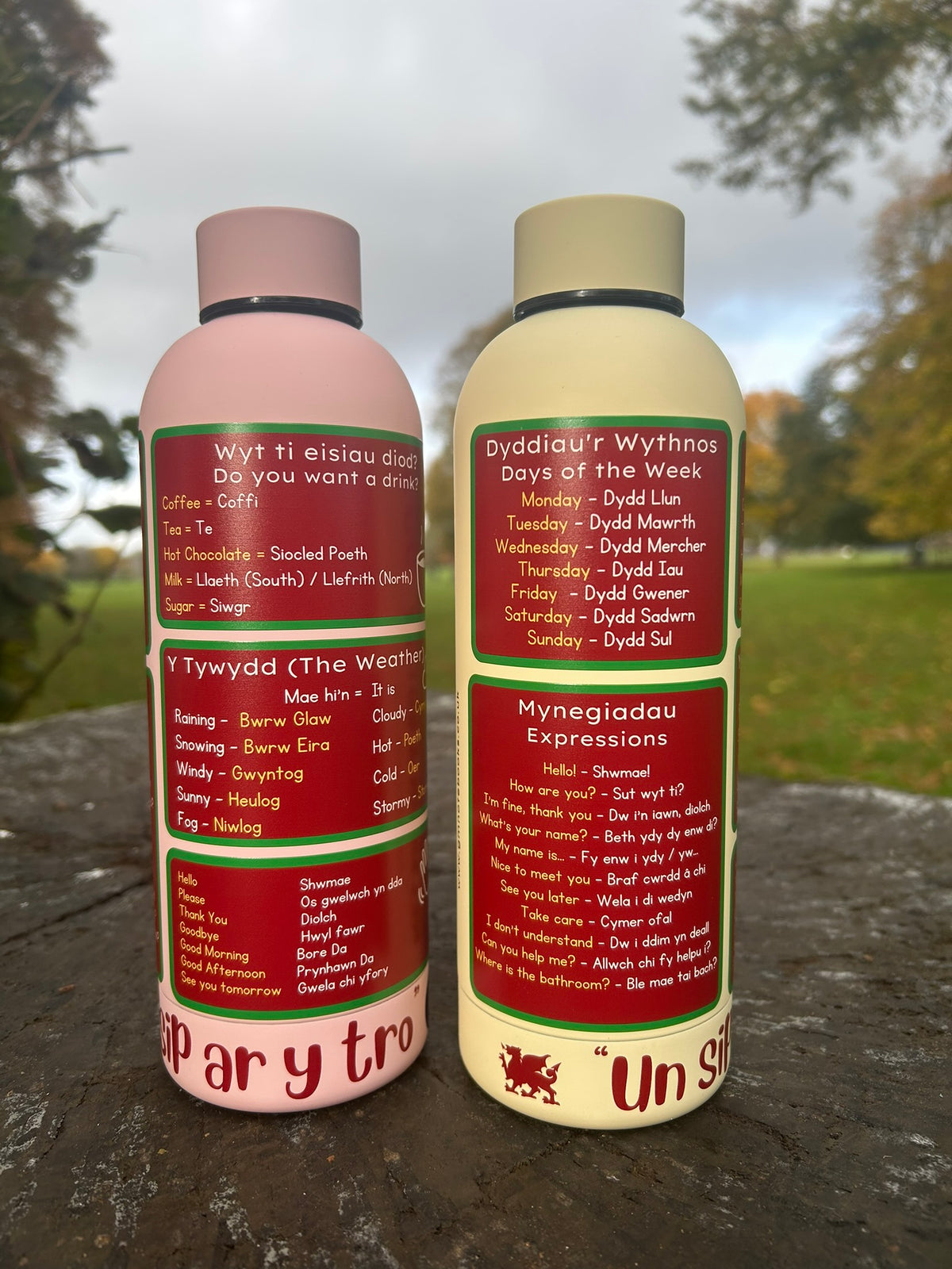 Cymraeg ar Botel - Double Walled Insulated BPA Free Welsh Water Bottle