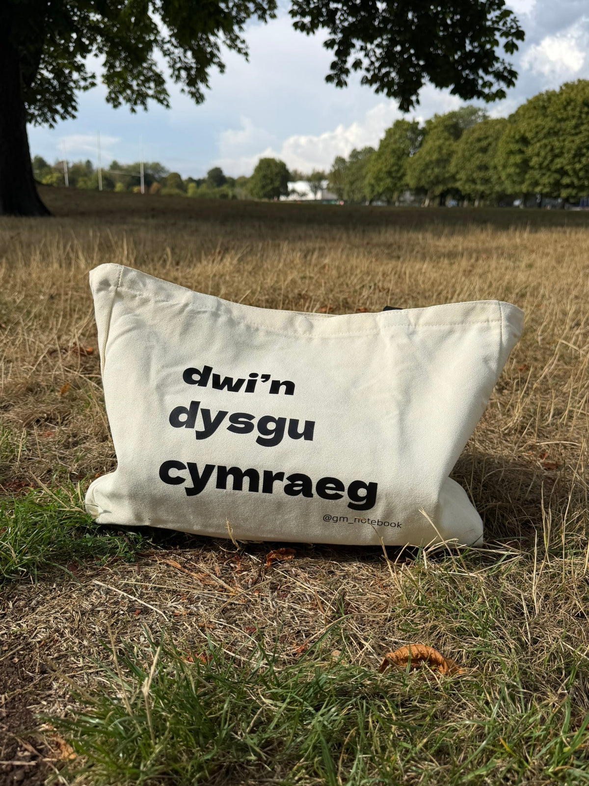 Bag Mawr Dwi’n Dysgu Cymraeg