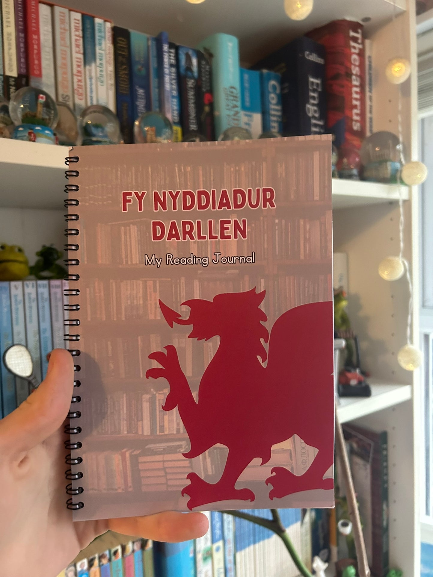 Fy Nyddiadur Darllen (My Reading Journal)
