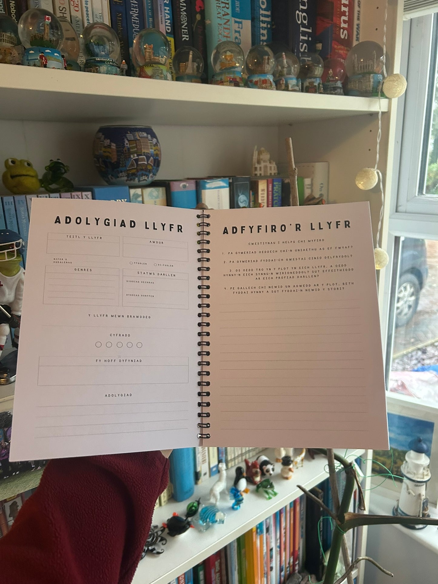 Fy Nyddiadur Darllen (My Reading Journal)