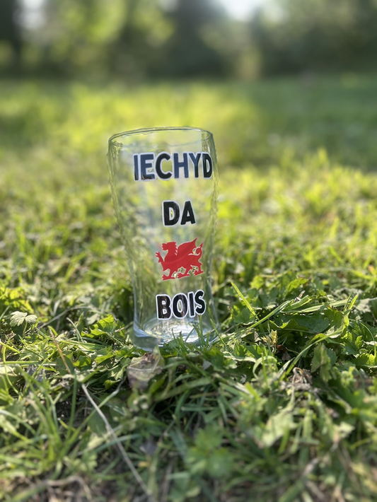 Gwydr Peint Iechyd Da Bois Pint Glass