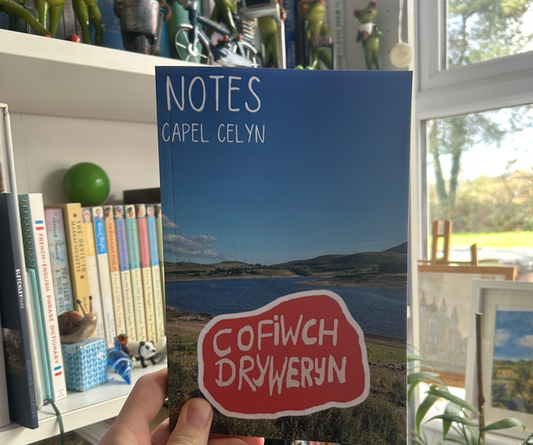 Cofiwch Dryweryn Notebook