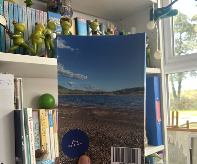 Cofiwch Dryweryn Notebook