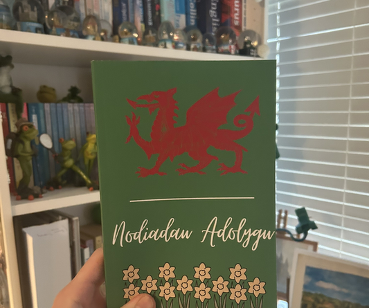 Nodiadau Adolygu Notebook