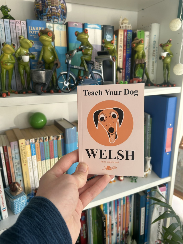 Teach Your Dog Welsh - Anne Cakebread